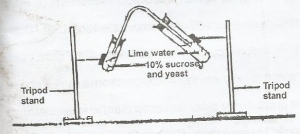 The experimental set-up above is used to demonstrate the process of